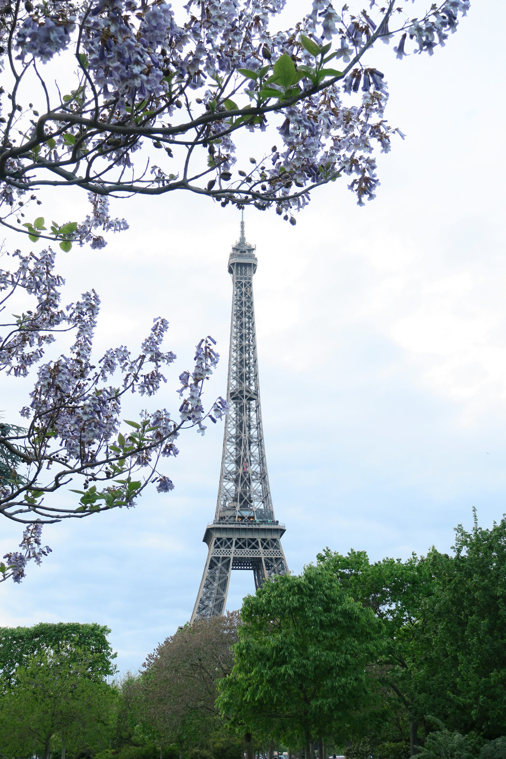 La Tour Eiffel Champ-de-Mars