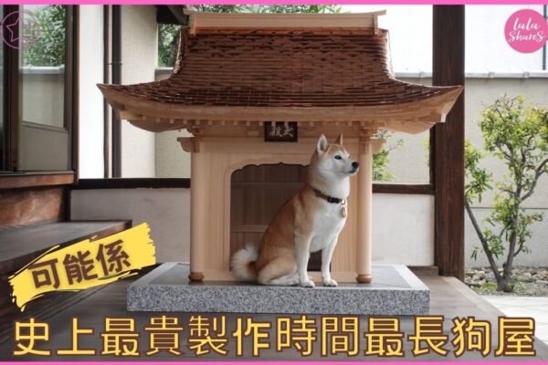 日本神社犬殿